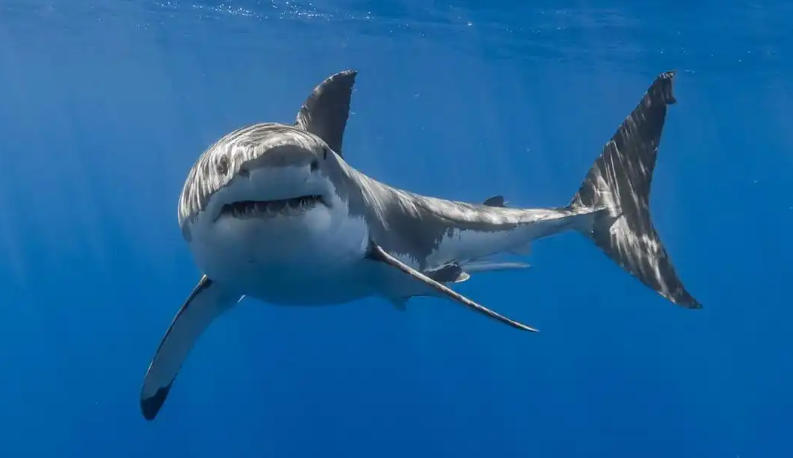 北京恒利源商贸发展有限公司轮播图3